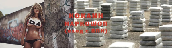 ешки Алексин