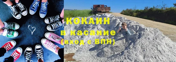 ешки Алексин