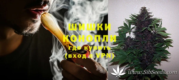 ГАЛЛЮЦИНОГЕННЫЕ ГРИБЫ Алзамай
