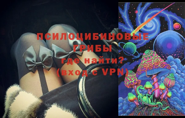 бошки Алексеевка