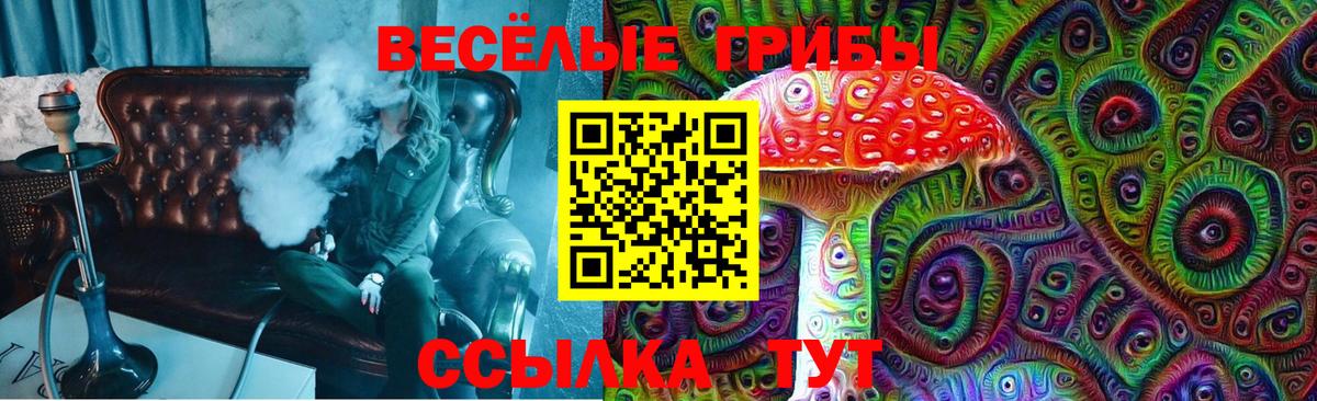 Псилоцибиновые грибы Cubensis Красноуфимск